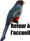 Trogon